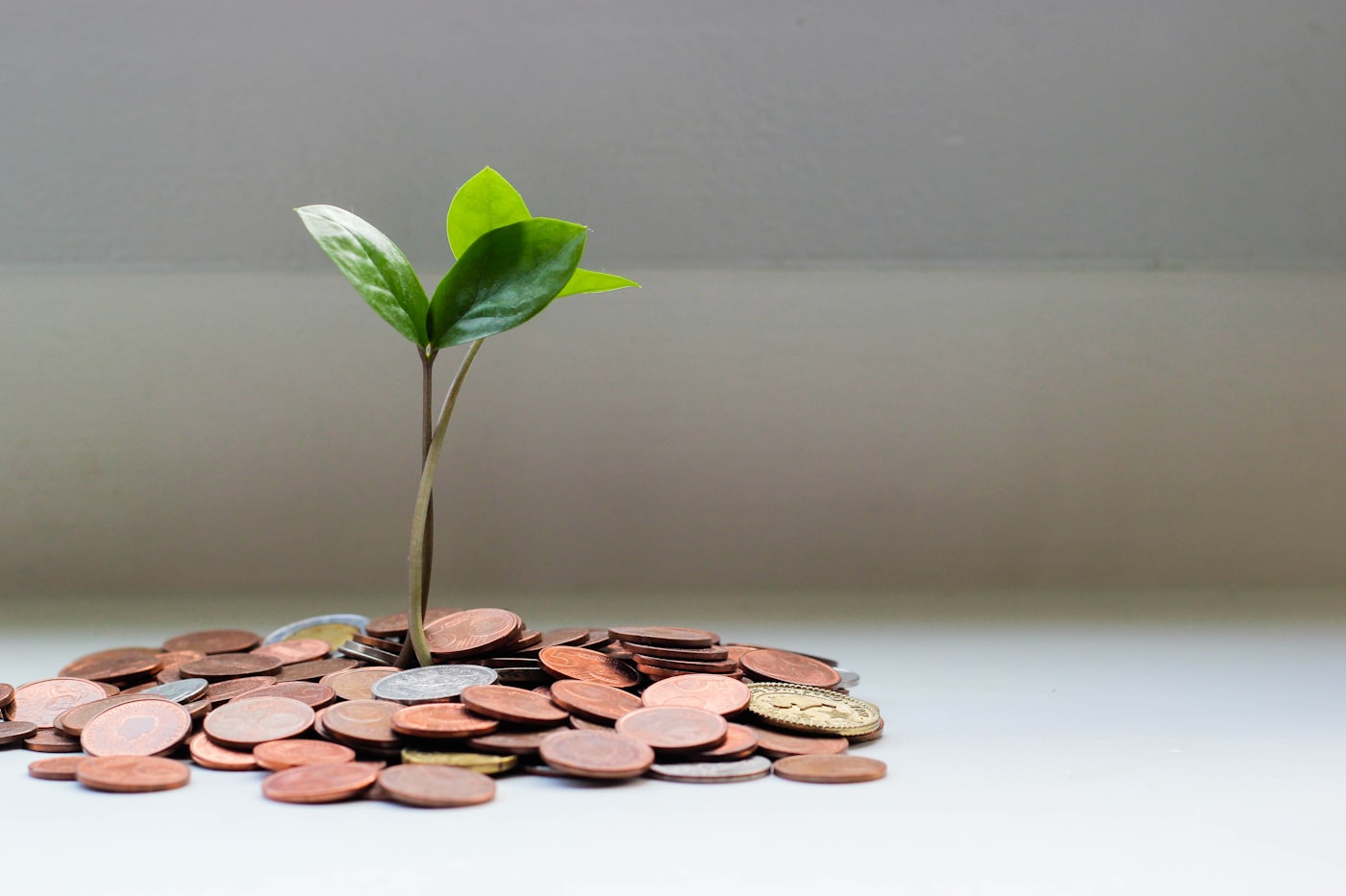 Coins growing like a plant to represent personal savings